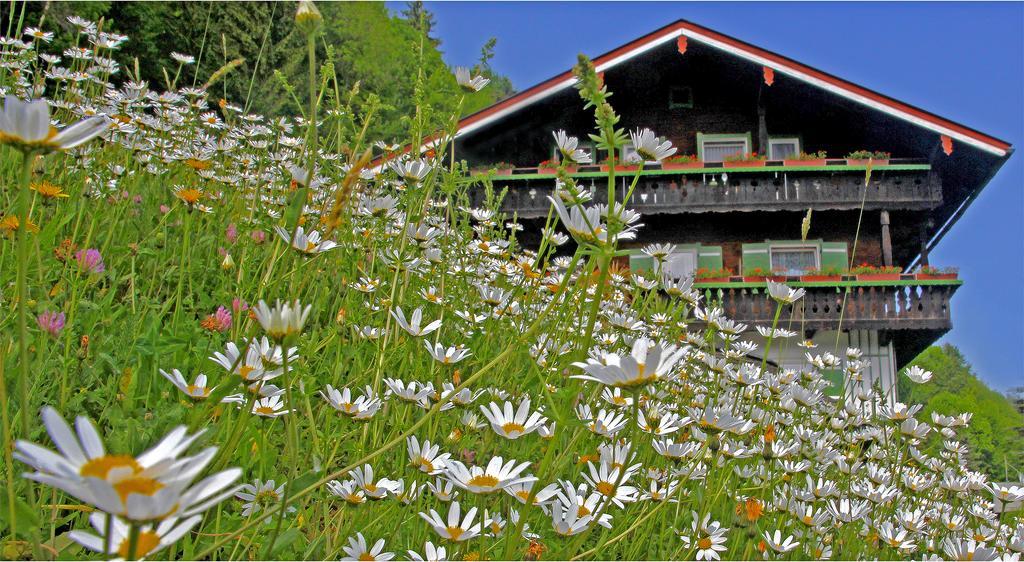 Gaestehaus Bergwald Berchtesgaden Exterior photo